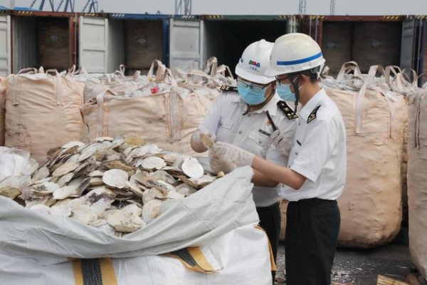 退！大连海关退运固体废物1400余吨-1.jpg