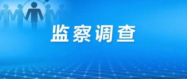 上海新联纺进出口有限公司一公职人员涉嫌严重违法接受监察调查-1.jpg