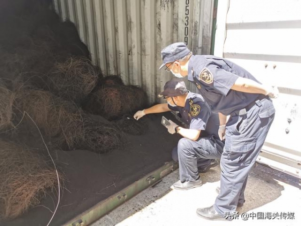 天津新港海关退运40余吨禁止进境“洋垃圾”-1.jpg