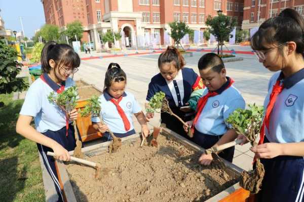 “请党放心 强国有我” 保税区中小学开启新学期新篇章-19.jpg