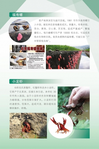 国门生物安全宣传进行时 | 一堂特别的“线上课”w25.jpg