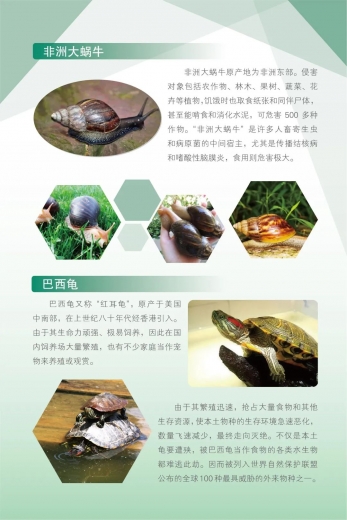 国门生物安全宣传进行时 | 一堂特别的“线上课”w26.jpg