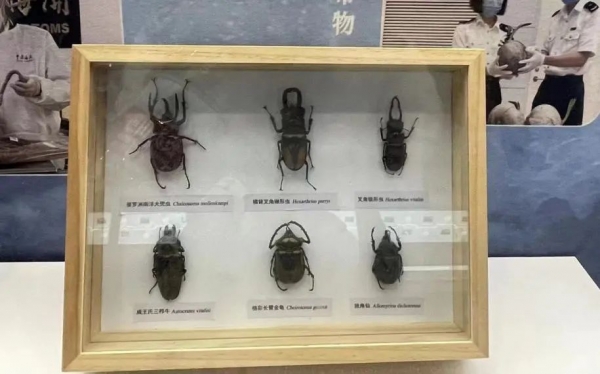 揭开厦门海关国门生物安全展厅神秘面纱w81.jpg