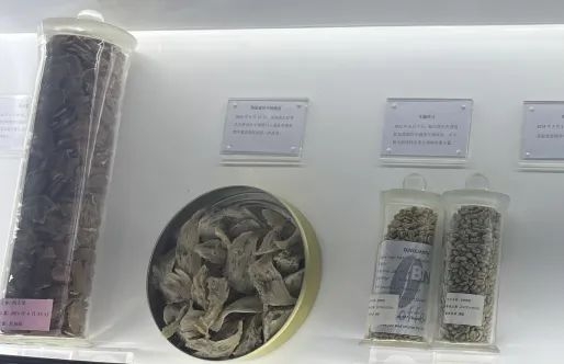 揭开厦门海关国门生物安全展厅神秘面纱w80.jpg