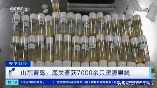 海关每年截获的邪门生物，比你看的电影还多-7.jpg