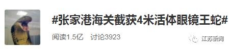 极毒、巨大！海关截获4米长眼镜王蛇！登上热搜第一网友吓坏-6.jpg