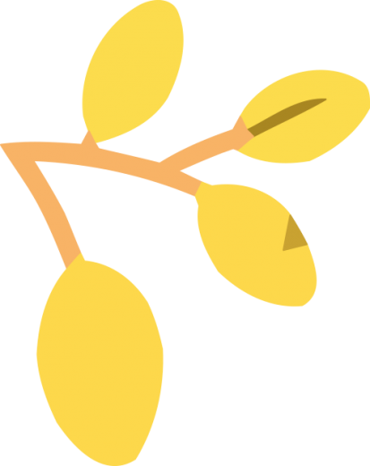 w1.jpg