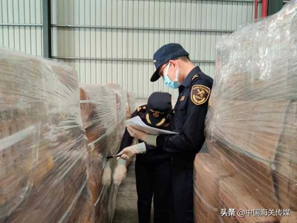 广州海关：在中途监管环节首次查处涉嫌侵犯知识产权案件-2.jpg