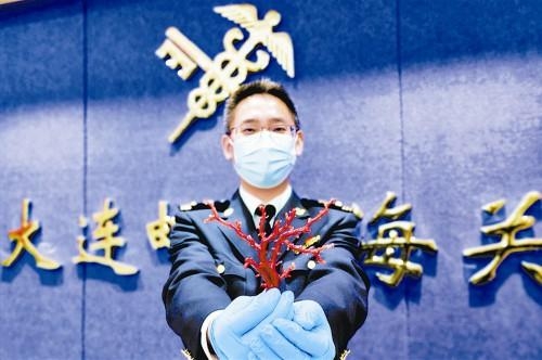 大连海关查获两件红珊瑚制品-1.jpg