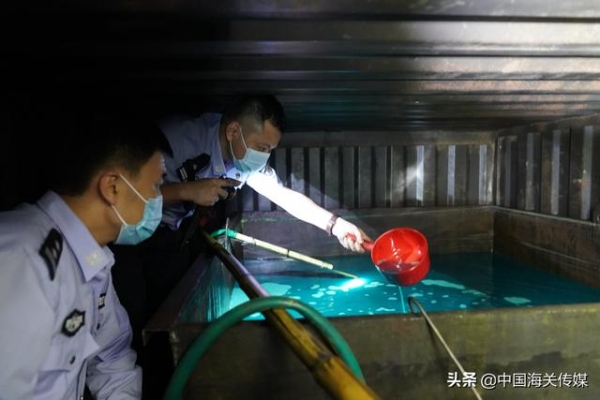 海关联合公安 打掉1个走私成品油犯罪团伙-3.jpg