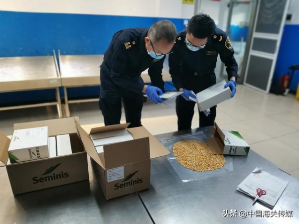 平均为企业节省2-3天的“两段准入”是什么？-1.jpg