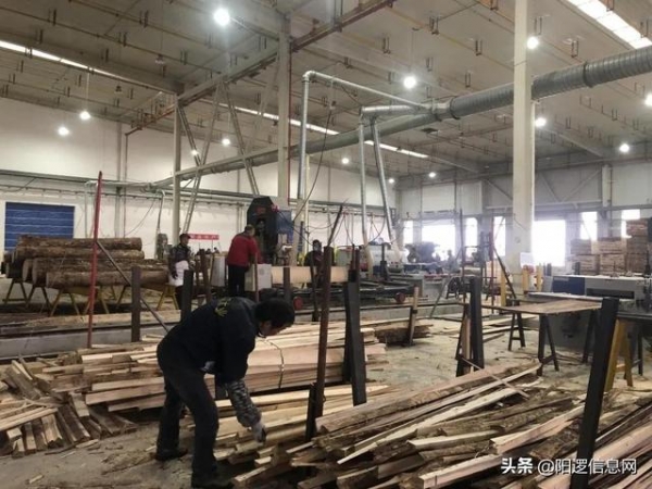 武汉首家进口木材保税加工入驻阳逻港园区-5.jpg