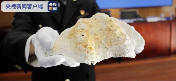鲸类牙齿、砗磲、玳瑁、珊瑚制品近10千克！大连海关移交1942件濒危水生动物制品-3.jpg