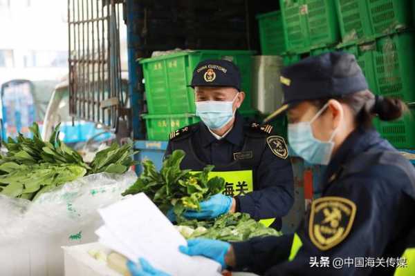 澳门回归21年 经拱北海关对澳进出口总值累计突破2900亿元-4.jpg