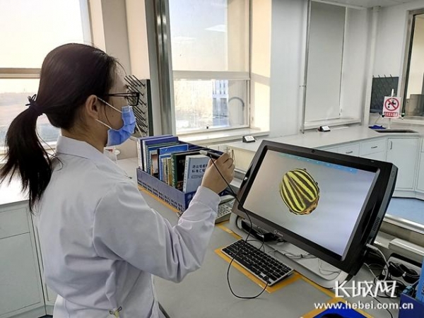 黄骅港海关引入“三维数字标本”助力提升检疫鉴定水平-1.jpg