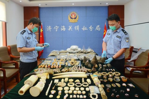致敬首个“中国人民警察节”——青岛海关2020年侦办走私犯罪案件创历史新高-1.jpg