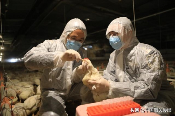 防疫前线直击：极寒天气 海关防疫-5.jpg
