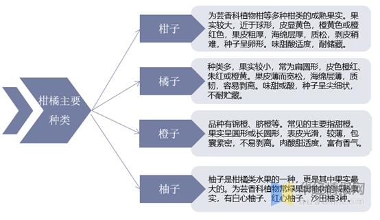 2019年柑橘产量、进出口情况及绿色生态种植技术分析「图」-1.jpg