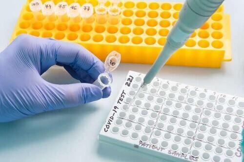 全国海关已抽检进口冷链食品样本超129万个，核酸阳性结果47个-1.jpg