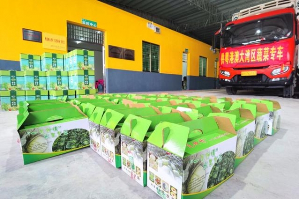 肇庆怀集：大西南农产品进出口服务平台成立-2.jpg