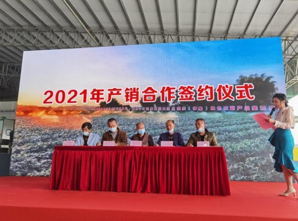 肇庆怀集：大西南农产品进出口服务平台成立-3.jpg