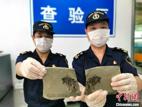 “货”力全开 福州海关助力打造“海丝”空中物流枢纽-1.jpg