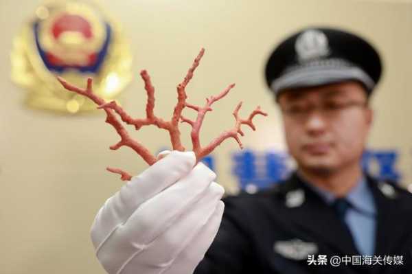 “水客”团伙“带货”，930万元红珊瑚走私案告破-3.jpg
