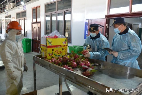 新春走基层 | 瞅瞅凭祥，中国最大的水果进出口陆路口岸之一-3.jpg