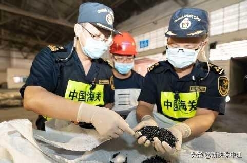 案值85.96亿元！拱北海关2020年查办各类走私违法案件9000余起-1.jpg