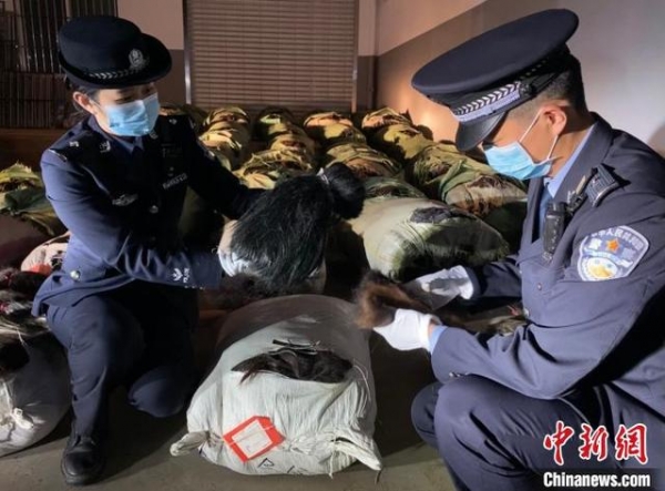 昆明海关查获特大走私人发案 案值1.5亿元人民币-1.jpg