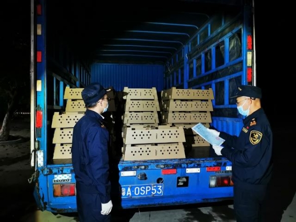 黄埔海关：全力保障春节期间供港食品稳定-2.jpg