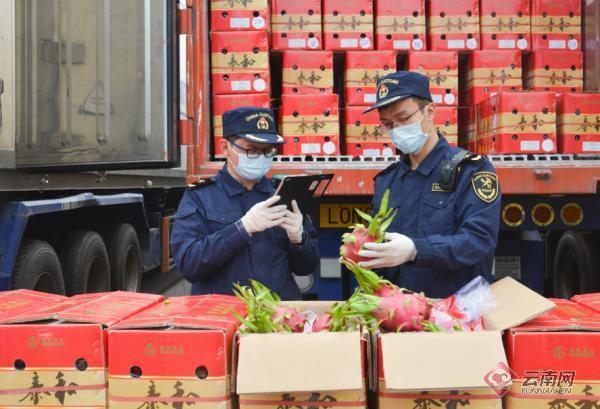 昆明海关助力云南农产品出口逆势上扬-1.jpg
