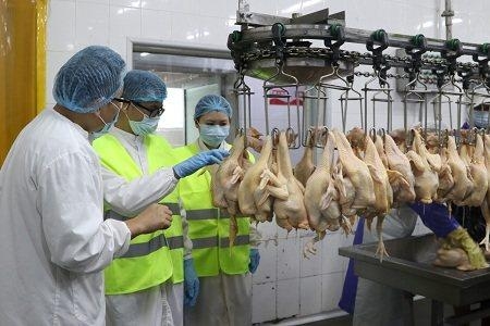 广州海关保障春节供港澳应节食品快速通关-3.jpg
