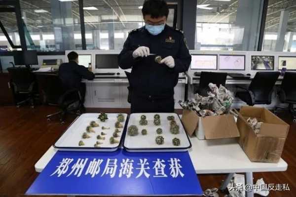 【国门利剑】郑州海关2020年“国门利剑”专项行动成果速览-7.jpg
