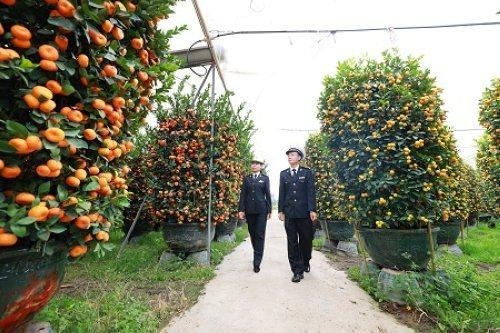 新春走基层｜海关关员助力“让花农欢喜过好年”-2.jpg
