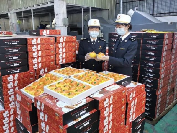解读 | 一文读懂柑橘属水果出口-15.jpg