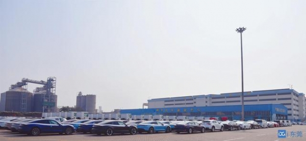 新沙口岸汽车进出口迎来“双牛市”-2.jpg