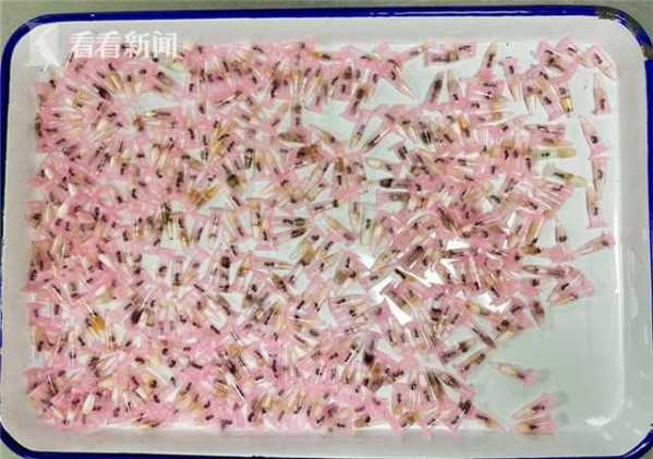 海外包裹影像异常！上海邮局海关查获406只活体蚂蚁-1.jpg