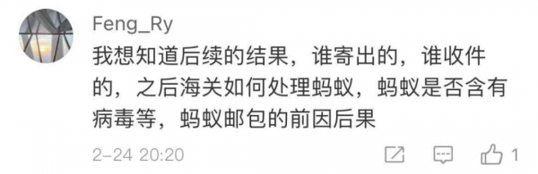 看完头皮发麻！上海海关查获406只活体蚂蚁！这也能当宠物养？-15.jpg