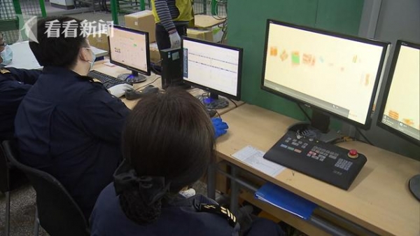 惊现巨型蚂蚁！上海海关截获一批外来入侵物种-6.jpg