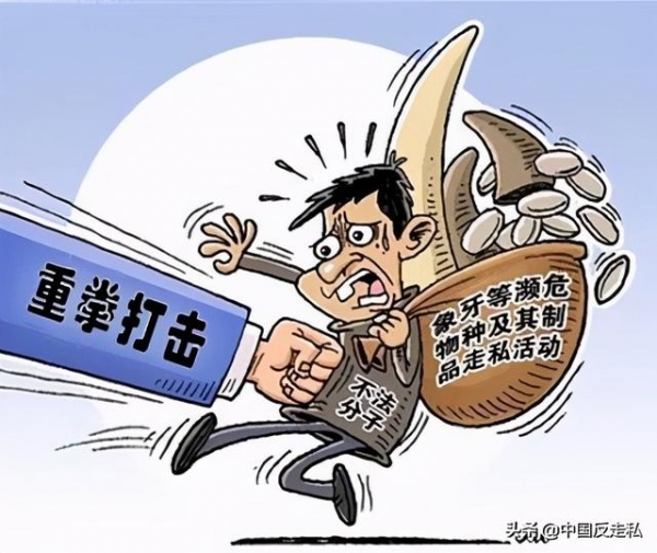 【中国反走私】2021 ，深圳海关打私人这样干！-4.jpg