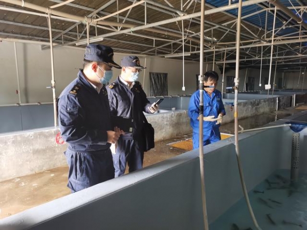 湛江海关优化服务对虾种质资源进口，助力特色水产养殖业发展-1.jpg
