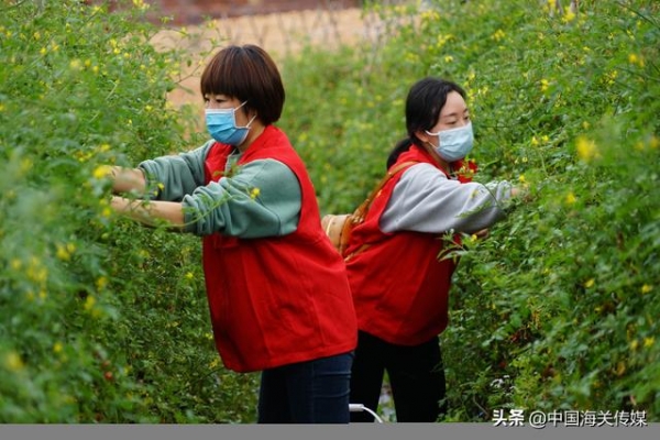 湛江海关：弘扬雷锋精神 迎接建党百年-2.jpg