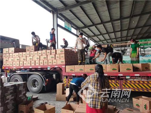 昆明海关：缅甸西瓜进口回暖 同比增长80.86%-2.jpg