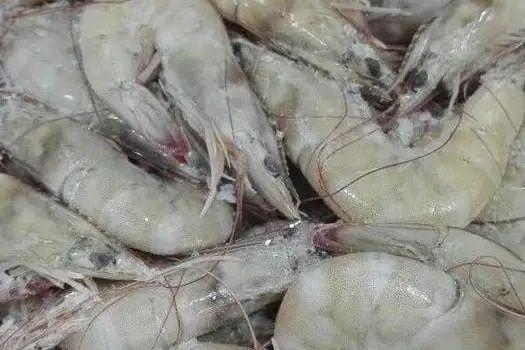 【规范申报】通关攻略｜2021年报关易错商品规范申报指引（一）-5.jpg