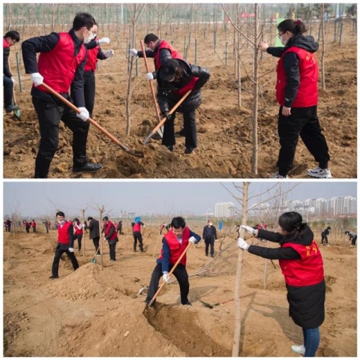 同为家园添新绿！威海综合保税区开展义务植树活动-1.jpg