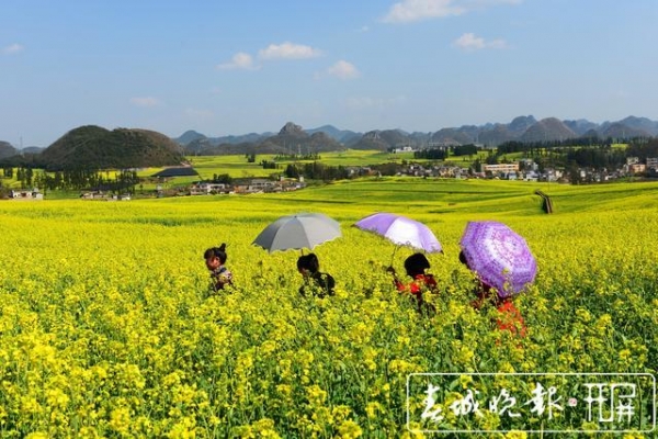 案值11亿元！涉案人发1200吨！昆明海关破特大走私案-6.jpg