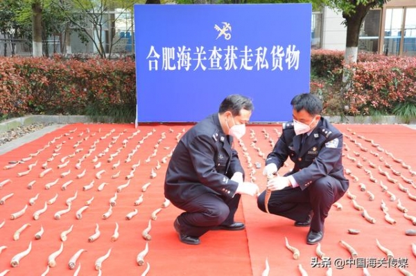 高鼻羚羊角400余根……意味着200多濒危动物被“谋杀”-1.jpg