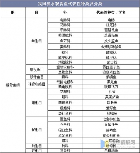 2020年中国淡水观赏鱼进出口分析，出口量下降，进口量上升-3.jpg