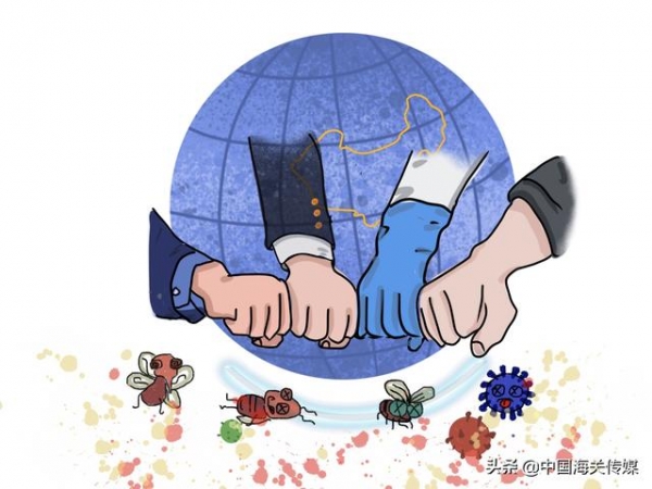 漫“话”国门生物安全-10.jpg